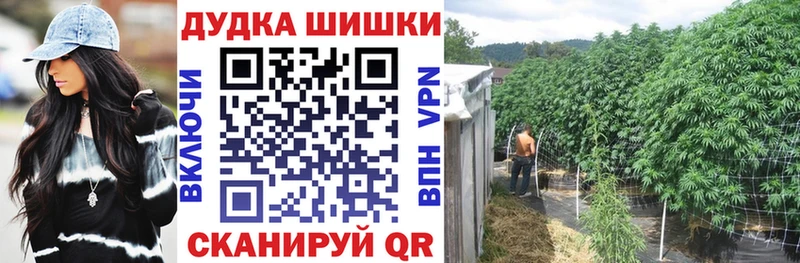 Каннабис планчик  купить наркотики сайты  Белорецк 